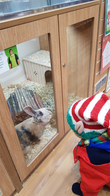 Pets at Home