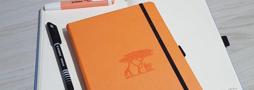 Inside my new Dingbats Earth Journal bullet journal (January 2019)