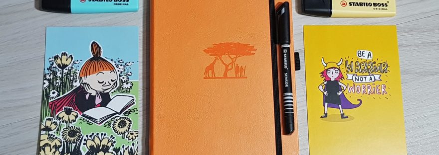 Inside my bullet journal - February 2019