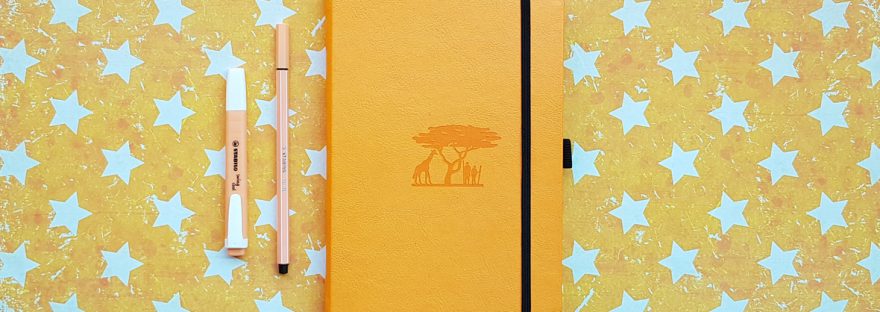 Six months of daily journaling - Dingbats Earth Journal. Bullet journal review