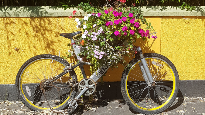 Old bike with flowers