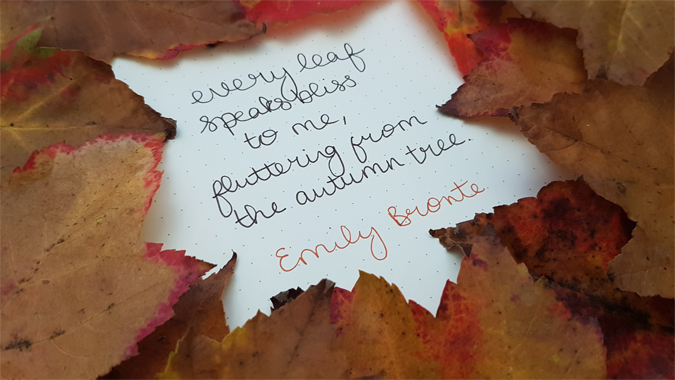Autumn lettering