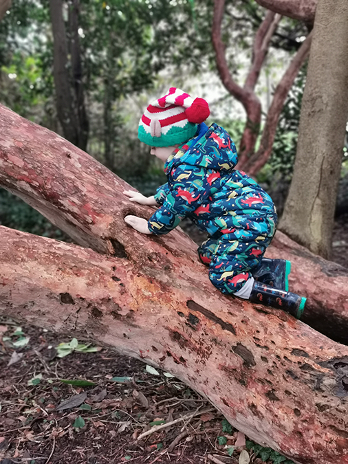 Forest School