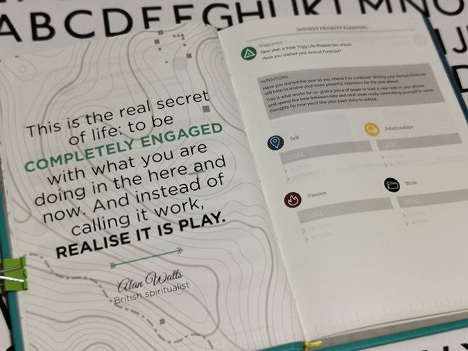 Trigg Life Mapper - review
