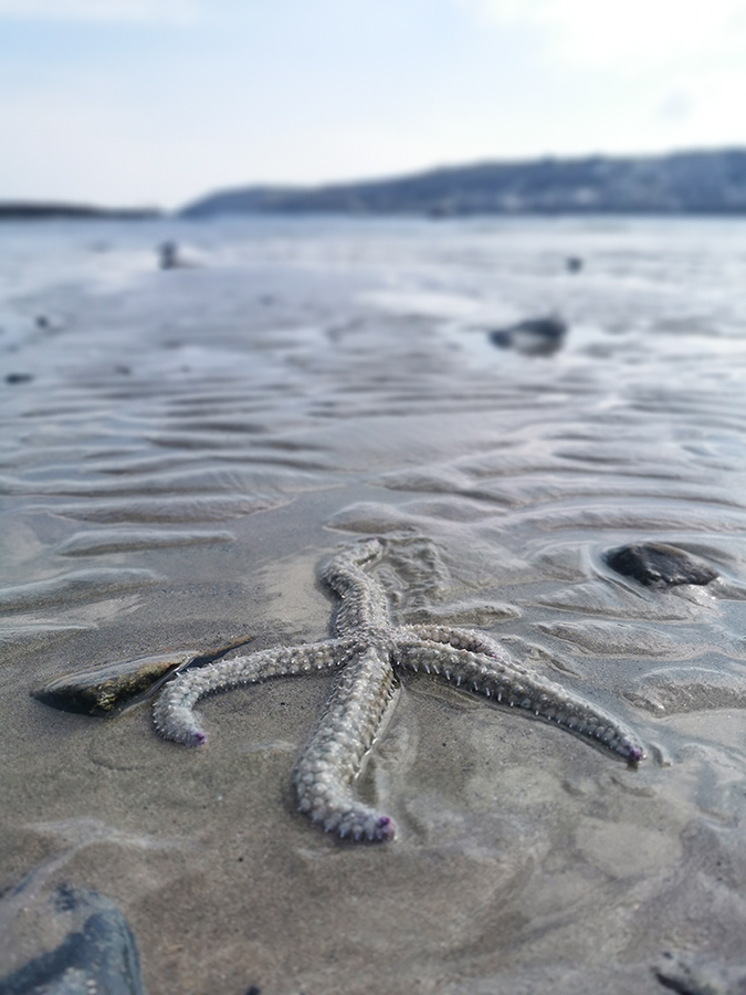 Mindfulness in nature