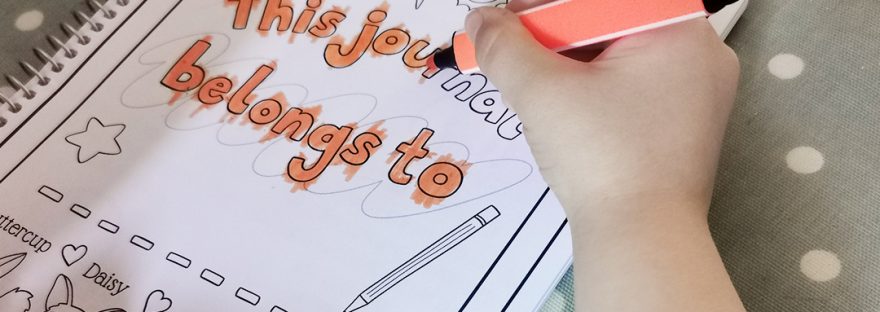 Daisy Doodles My First Journal Kit - review