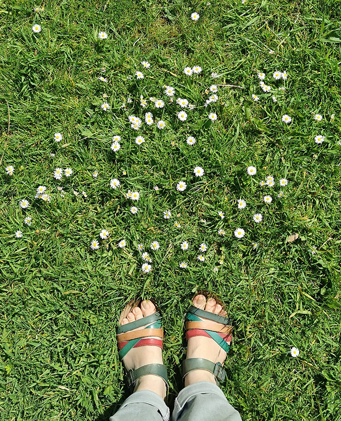 Daisies