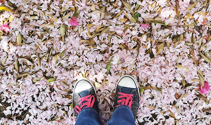 Pink petals