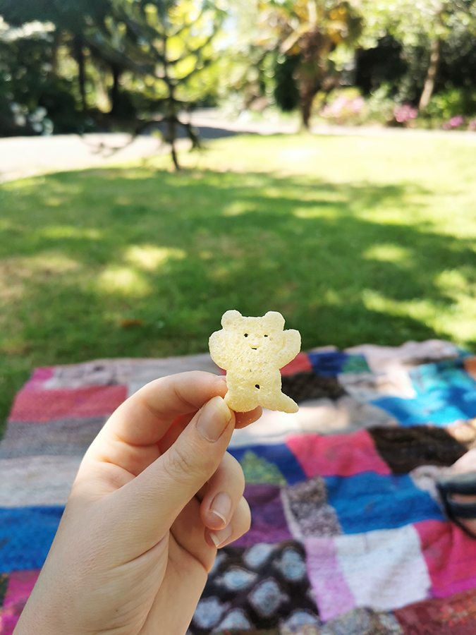 Picnic