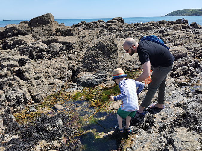 Rock pooling