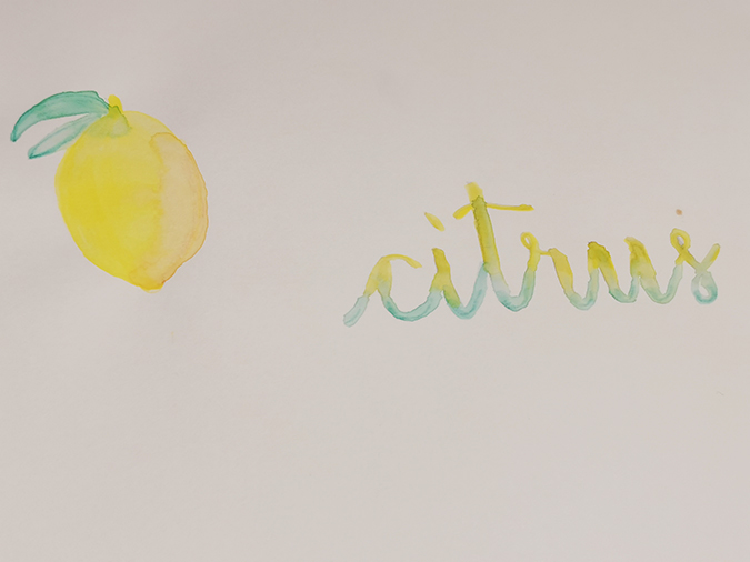 citrus watercolour lettering