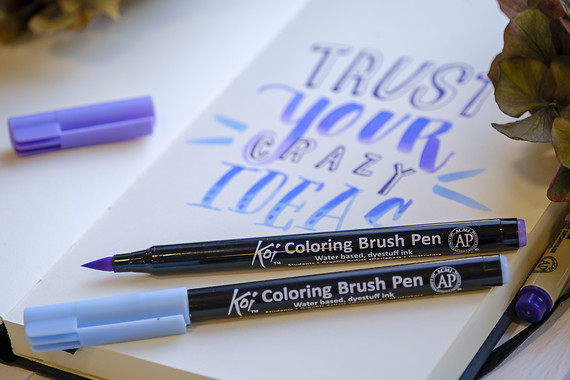 Sakura Koi brush pens