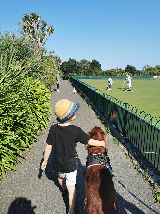 Dog walk