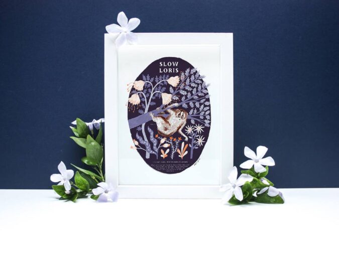 Slow Loris Natural History Artists Print by Papio Press