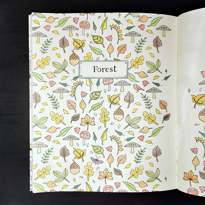 Johanna Basford How to Draw Inky Wonderlands forest colouring