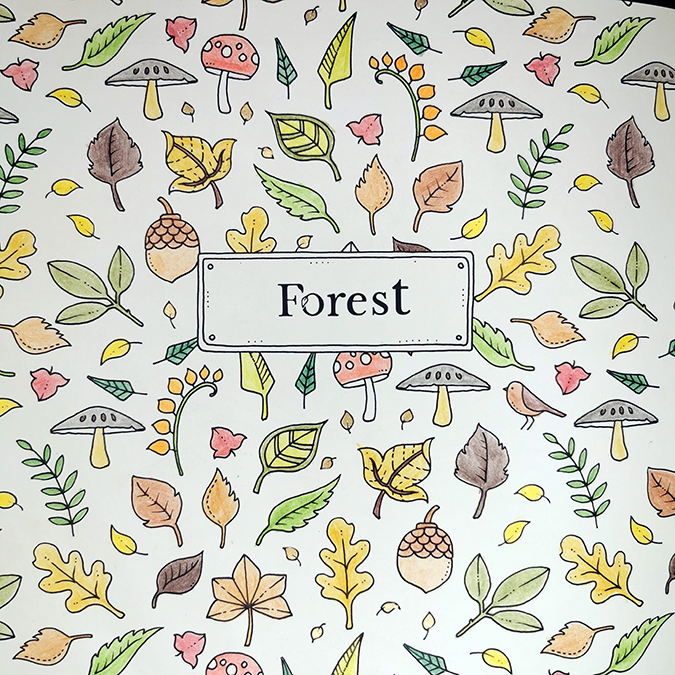 Johanna Basford How to Draw Inky Wonderlands forest colouring